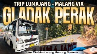 RUTE BUS GOKIL! Melewati Lereng Gunung Tertinggi di Pulau Jawa! Lumajang Malang via Piket Nol