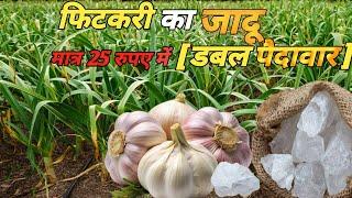 खेती में फिटकरी का सही उपयोग | potassium aluminium sulfate uses in farming | fitkari ke upyog | alum