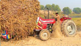 mf 385 tractor performance | fiat alghazi tractor power fails | tractor trolley video | Nadeem Vlog