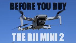 Before You Buy The DJI Mini 2 - What To Know Review | DansTube.TV