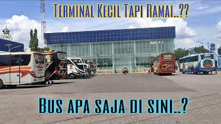 Terminal Maospati Magetan || Bus apa saja yg banyak masuk ke terminal..?