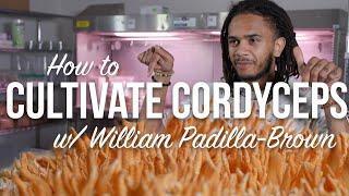 How to Cultivate Cordyceps Militaris Mushrooms | With William Padilla-Brown | Grow in Jars or Bins