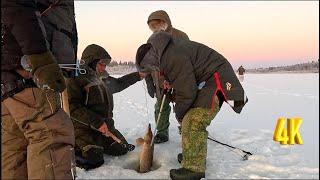 ТРОФЕИ ПРОСКАКИВАЮТ | РЫБАЛКА С ХОРОШЕЙ КОМПАНИЕЙ В МОРОЗ | 2  | FISHING WITH A GOOD COMPANY