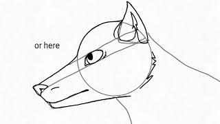 How to draw a side view wolf head (medium) 50 sub special