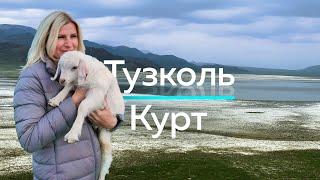 ОЗЕРО ТУЗКОЛЬ - Душевное путешествие в соленые горы Казахстана! / "А как там у них?" c Еленой Кукеле