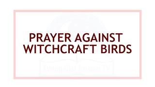 Short But Effective Prayer Against Any Witchcraft Birds