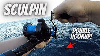 Best RIGS & BAIT For Sculpin (SURPRISE CATCHES & LIMITS!!!)