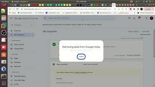 Fix "No Referring Sitemaps Detected" in Google search console