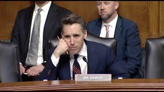 Hawley Hammers Amazon, Health Insurance Companies For Killing Competition During Antitrust Hearing