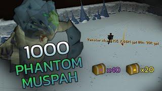 Loot From 1,000 Phantom Muspah