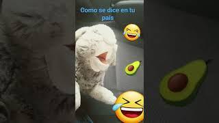 #aguacate #palta #risas #viral #chiste