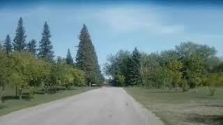 Moving Trees Phenomena - part 4