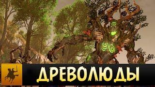 Древолюды - Total War: Warhammer