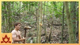 Primitive Technology: Stone Adze