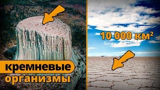 Организм размером 10 тыс км! Ученые не могут это объяснить и вот почему...