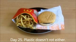 The 31 day McDonalds burger experiment