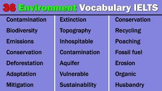 36 Commonly Used Environment Vocabulary in IELTS | Task 2 Topic Vocabulary