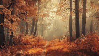 Fall Forest TV Art | Frame TV Art | Fall TV Art | Autumn TV Art | Art For Your TV | Landscape Art