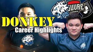 Mobile Legends - DONKEY HIGHLIGHTS CAREER! (2017-2019)