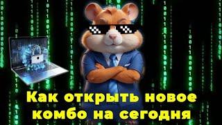 Как открыть три комбо карты на 22 июня в Hamster Kombat новичкам. новое комбо в хамстер комбат