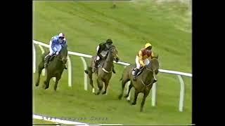 1989 Byrne Brothers Compton Chase