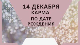 14 декабря - карма по дате рождения