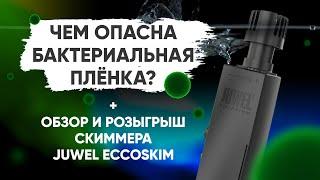 Опасна ли бактериальная плёнка? Скиммер Juwel EccoSkim - обзор и розыгрыш