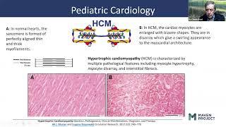 How to Assess Cardiac Concerns in Children & Adolescents in Primary Care Clinics w/Dr. Rogé-6/26/24