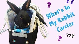 What's in My Rabbit Carrier