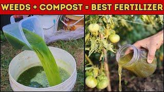 No Chemicals, Just Pure Growth by cheap and effective way ! The Best Organic Fertilizer You Can Get