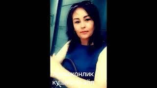 Новосибирск тунги капалаклар момоси