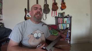 Another love ukulele cover ( baritone ).