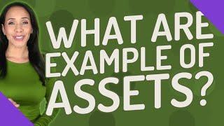 What are example of assets?