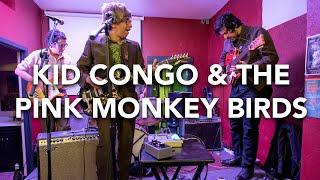 Kid Congo & The Pink Monkey Birds - Sex Beat