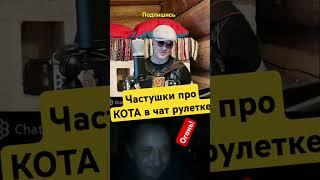 Частушки про кота в чат рулетке |мужик хохмит #shorts#частушки#чатрулетка#баянистприколист