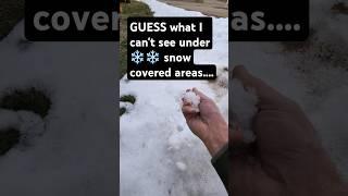 ️Was ich nicht sehen kann, wenn es mit SCHNEE bedeckt ist. #Dach#Kurzvideo#Kurzvideos#YouTubeKur...