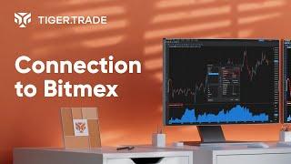 Tiger.Trade | Connection to BitMex