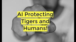 Revolutionary AI Camera Protects Tigers and Humans | TechInsight Daily