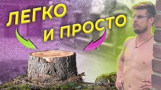 HOW TO REMOVE A STUMP (ENG SUBS) | RUSSIAN WAY