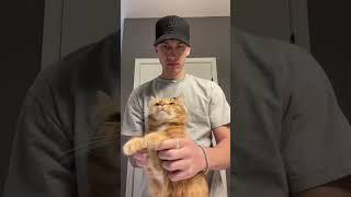 Cat Dance GONE WRONG