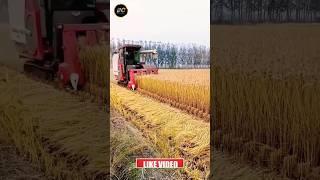 Mini harvester in India #yanmar #harvester #shorts