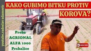 KAKO GUBIMO BITKU PROTIV KOROVA? PROBA AGRIONAL ALFA 1000 ;ARE WE LOSING  BATTLE AGAINST WEEDS?