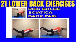 21 Lower Back Exercises (PDF) DISC BULGE, SCIATICA, BACK PAIN | Dr. Walter Salubro Chiropractor