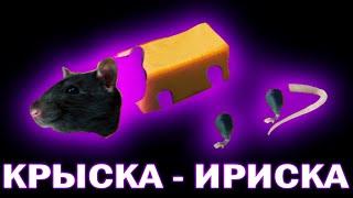 По слогам - КРЫСКА - ИРИСКА 