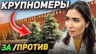 ЭФФЕКТНЫЕ крупномерыО чем МОЛЧАТ ПИТОМНИКИ и как сажали в СССР