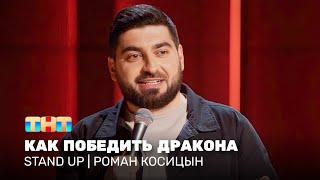 Stand Up: Роман Косицын - как победить дракона @standup_tnt