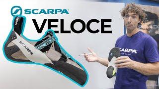 *ALL NEW* SCARPA Veloce indoor climbing shoe