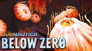 Deep Lilypad Caves - Hardcore Vegetarian Challenge! - Subnautica: Below Zero - 05