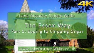 Long Distance Guided Walks: The Essex Way (Part 1) Epping to Chipping Ongar