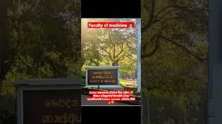 Motivation wadan video in sinhala / faulty of medicine /doctors dreams / university of colombo /